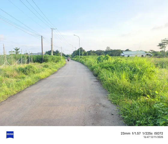 Gần 1 xào phủ hồng khu dân cư đông đúc