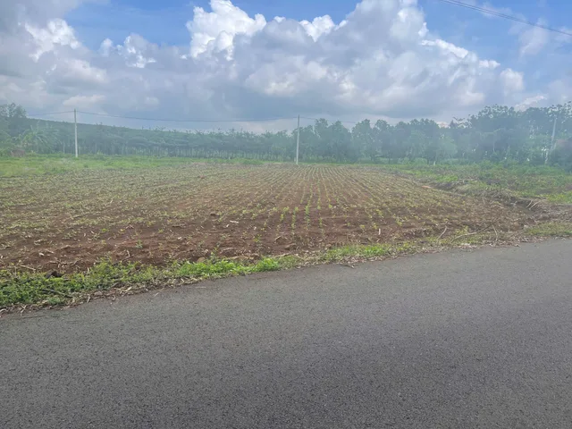 Bán đất 156m² có sẵn 80m² thổ cư ngang 6.62m giá 850 triệu tại Xã Nghĩa Thành