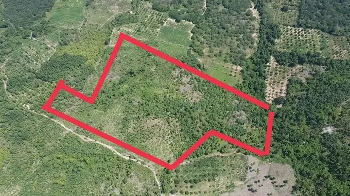 Bán đất 18601m² ngang 170m giá 599 triệu tại Xã Ea H’Leo