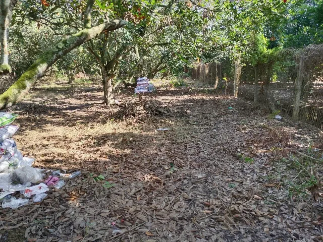 Bán đất vườn cây ăn trái 1/ngắn Trung An xã Trung An Củ Chi TPHCM, DT: 35x60m.