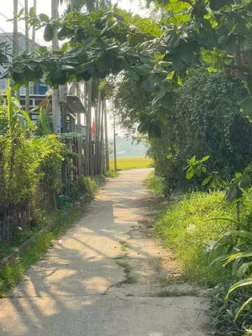p trung vào tiềm năng đầu tư (Dành cho nhà đầu tư)
Tiêu đề: ĐẤT NỀN MẶT TIỀN KHỦNG 32M – 790M² CÓ THỔ CƯ – GIÁ CHỈ 2 TỶ 9