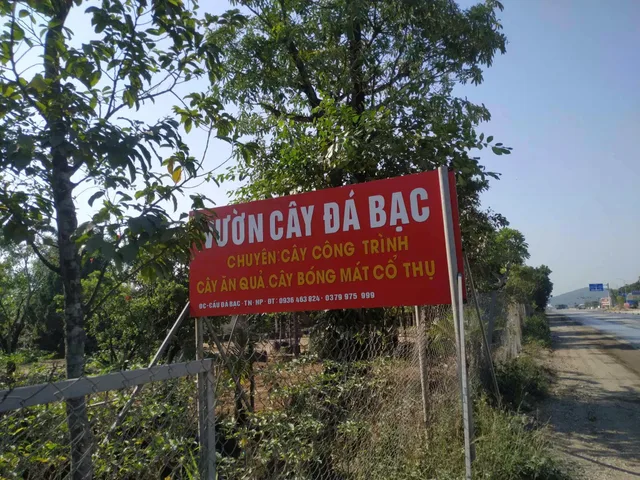 💥💥💥 Bán Lô Đất Mặt Đường Ql10, Gia Minh, 100m2, Ngang 5m, l/h:076.231.9990 em Thúy 

- Vị trí thuận tiện nằm trên mặt đường Ql, Kinh doanh buôn bán tốt, đất nhà nước cấp pháp lý đảm bảo, không quy hoạch.
- Diện tích: 100m2, mặt tiền 5m
- Bìa đỏ chính 