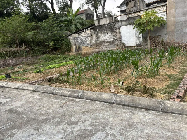 Bán 60M2 Đất đẹp An Sơn, Thủy Nguyên. Mặt ngõ oto, Giá cực rẻ chỉ 470 Triệu