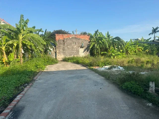 🏡 LÔ ĐẤT GIÁ TỐT – HOA ĐỘNG, THUỶ NGUYÊN 🏡l/h:076.231.9990 em Thúy 

💎 Diện tích: 60m²
💎 Hướng: Bắc (mát mẻ – hợp phong thuỷ)
💎 Ngõ: Rộng 3m – sạch sẽ, yên tĩnh

📍 Vị trí: Thôn Bái Trong – Hoa Động
👉 Khu dân cư ổn định, phù hợp ở lâu dài

✨ Điểm 