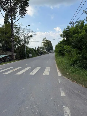 Bán đất vườn mặt tiền nhựa 1/ngắn Phạm Văn Cội xã Phạm Văn Cội Củ Chi TPHCM, DT: 14x50m.