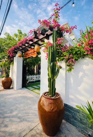 Bán nhà vườn nghỉ dưỡng mặt tiền nhựa xã Thái Mỹ Củ Chi TPHCM, DT: 19x26m.
