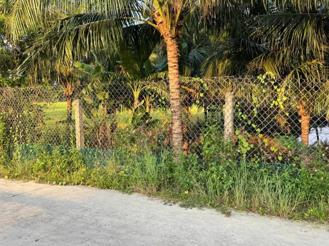 Bán nhà vườn view sông Dinh gần cửa biển Hà Liên.