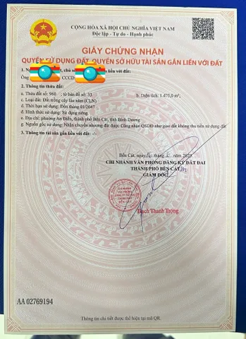 Đất chuẩn bị lên nhựa tại An Điền,Bến Cát