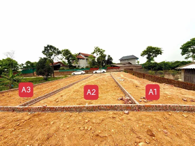 BÁN LÔ ĐẤT ĐẸP HOÀNG HOA-TAM DƯƠNG-VĨNH PHÚC 102,5m MT5m SẴN SỔ SANG TÊN giá chỉ 690tr