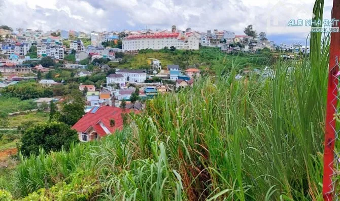 Lô đất XD 362m Đống Đa- P3- Đà Lath🏡19 tỷ có view nhìn toàn tp- Giá rẻ nhất KV- cách Hồ XH 500m