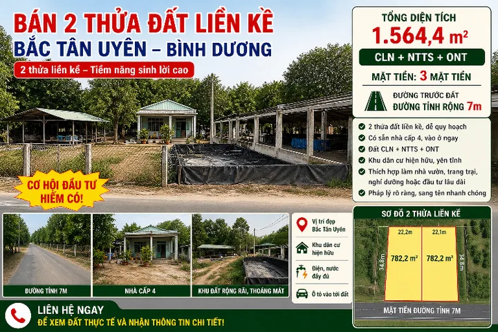 Bán đất đẹp Bắc Tân Uyên, Bình Dương – đường ô tô, khu dân cư hiện hữu