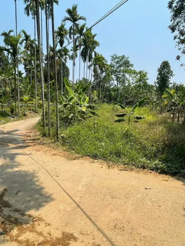 📌📌📌LÀM VIỆC TRỰC TIẾP GIÁ TỐT !!! Bán đất thôn Diêu Phong, xã Hòa Nhơn