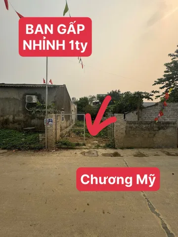 BAN GẤP MẢNH ĐẤT Ở CHƯƠNG MỸ GIÁ RẺ CHỈ NHỈNH 1ty DO CÓ VIỆC GIA ĐÌNH
