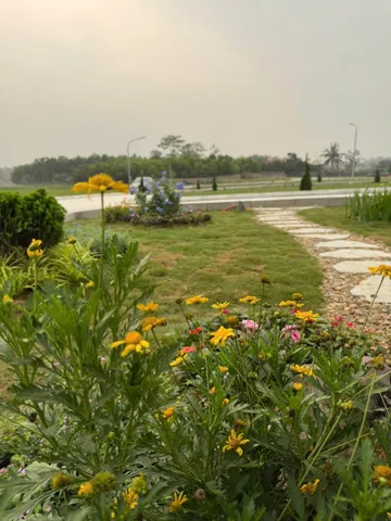 🔥 MUA NGAY TRƯỚC KHI GIÁ TĂNG