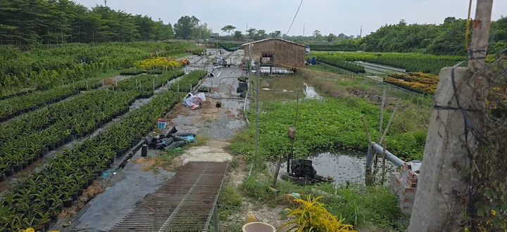 Bán đất 3600m² ngang 33m giá 4.32 tỷ tại Phường Sa Đéc