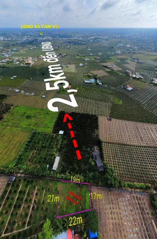 🌟 BÁN ĐẤT THỔ CƯ GIÁ TỐT – CÁCH UBND XÃ TẦM VU CHỈ 2,5KM 🌟
