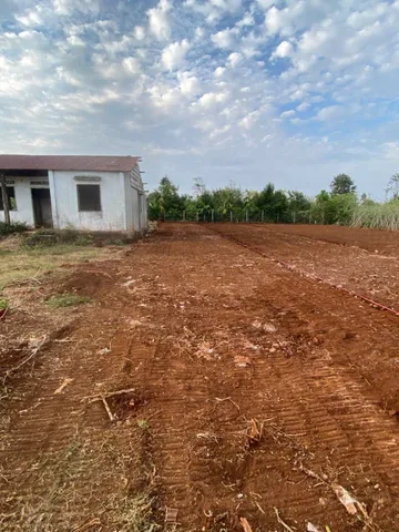 Bán đất 322.5m² có sẵn 60m² thổ cư ngang 5.0m giá 1 tỷ tại Xã Ea Drông