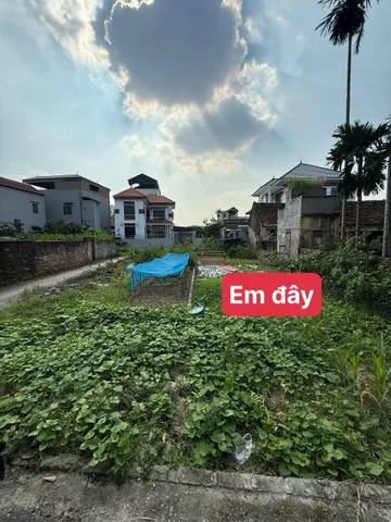 🏡 VĂN GIANG - HƯNG YÊN- LÔ ÁP GÓC - Ô TÔ TRÁNH- GIÁ CHỈ 6 TỶ NHỈNH