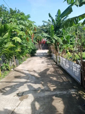 Bán lô đất vườn ngang 11m phường Nam Nha Trang