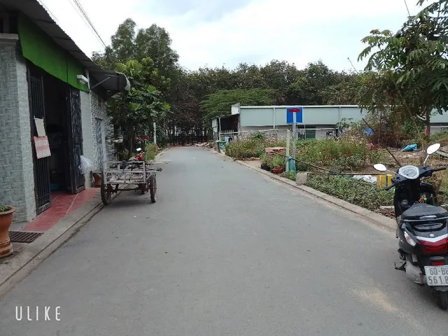 🔥🚗 HIẾM XE HƠI NGỦ NHÀ – 4x21M – 5 TẦNG BTCT – NGUYỄN THỊ THẬP 🚗🔥