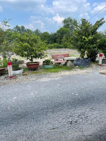 ANH HẰNG GỬI BÁN LÔ 150M2 ĐẤT KẾ BÊN CHỢ BÀU BÀNG CÁCH MPTV ĐÚNG 1KM 980TR