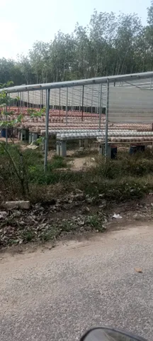 Bán đất mặt tiền DH514 gần xưởng công ty đang mở