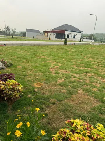 🔥 HƠN 400 TRIỆU – ĐẤT VEN HÀ NỘI ĐANG TĂNG TỪNG NGÀY