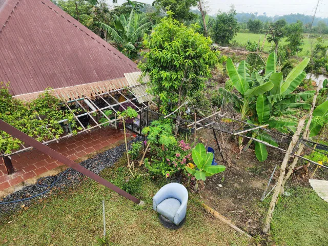 Bán nhà vườn sinh thái xã Bình Mỹ (Trung An cũ) Củ Chi — 3.800m², View đẹp, Không gian xanh, Giá tốt