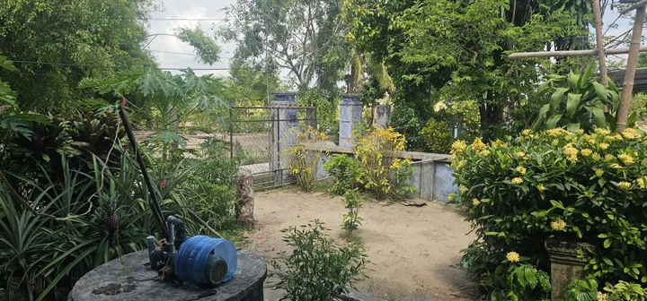 Bán đất đường gần khu vực  Long Phụng 1 Hòa Trị , Phú Hòa, Phú Yên