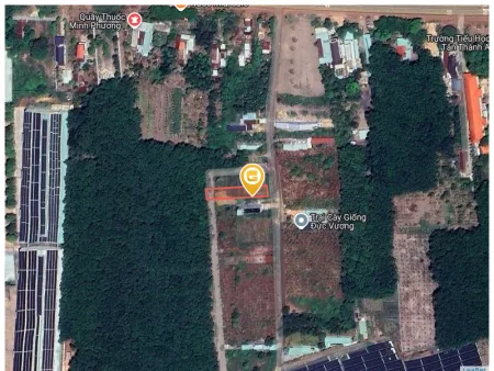 0931.783.209. Bán đất 296.2m² có sẵn 100m² thổ cư ngang 5m giá 590 triệu tại Phường Đồng Xoài
