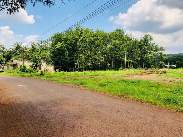 0931.783.209. Bán đất 296.3m² có sẵn 100m² thổ cư ngang 5m giá 590 triệu tại Phường Đồng Xoài