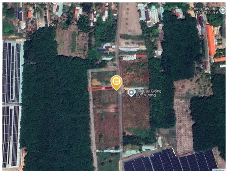 0931.783.209. Bán đất 298.5m² có sẵn 100m² thổ cư ngang 5m giá 600 triệu tại Phường Đồng Xoài