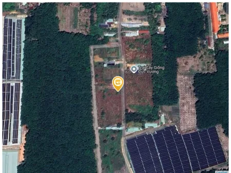 0931.783.209. Bán đất 324.4m² có sẵn 100m² thổ cư ngang 5m giá 610 triệu tại Phường Đồng Xoài