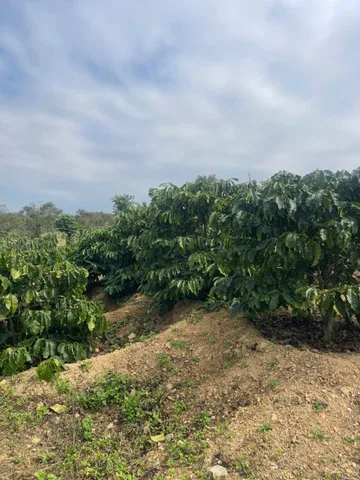 BÁN ĐẤT Ở HẺM TRẦN PHÚ - krong Năng