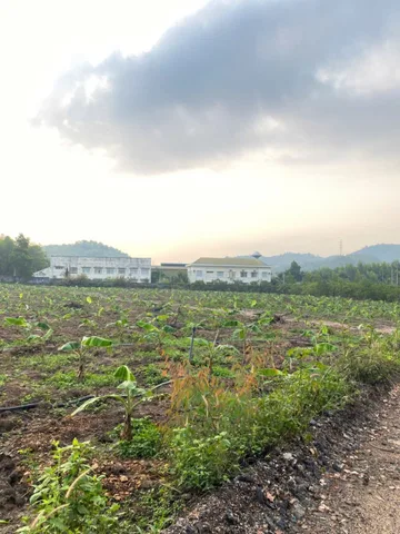 🔥 CƠ HỘI HIẾM – ĐẤT ĐẸP NGAY KCN HOÀ PHÚ, ĐẦU TƯ LÀ THẮNG! 🔥