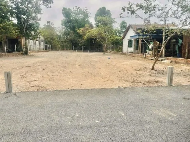 Mặt đường Nhựa, KDC đông. Diện tích: ngang 5, nở hậu 8, dài 37m (FULL Thổ Cư) - 1.35 Tỷ