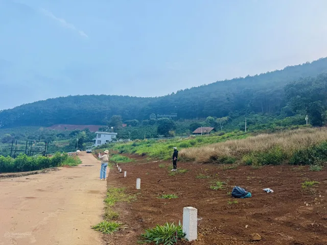 599 Triệu sở hữu đất view đồi Thông và suối Cam Ly chỉ 3km tới địa phận Đà Lạt
