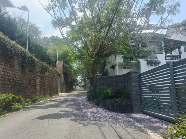 11,5 Tỷ Bán ĐẤT THỔ CƯ ĐƯỜNG KHE SANH, PHƯỜNG 10, TP. ĐÀ LẠT