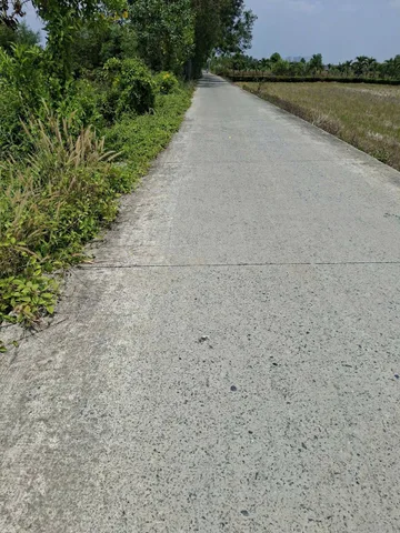 Bán miếng đất 6000m hưng long bình chánh