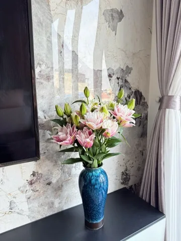 Bán nhà 50m² full thổ cư ngang 3.5m giá 20.2 tỷ tại Đường Tư Đình Phường Long Biên