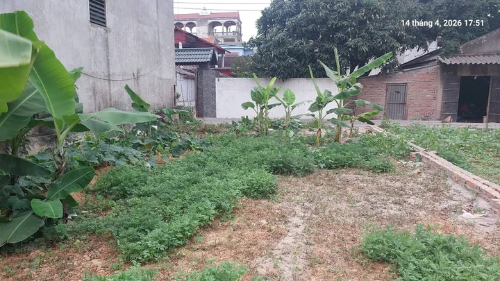 Đất Xuân Nộn, còn 1 lô, 96m2, mt6.5m, ô tô, 5.3 tỷ, Đông Anh.