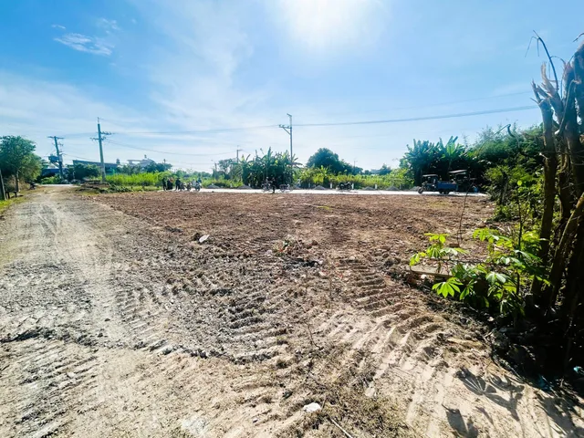 BÁN ĐẤT CỦ CHI, ĐẤT 5x25M NỞ HẬU – 2 ĐƯỜNG THÔNG – PHÁP LÝ SẠCH, TẠI TÂN PHÚ