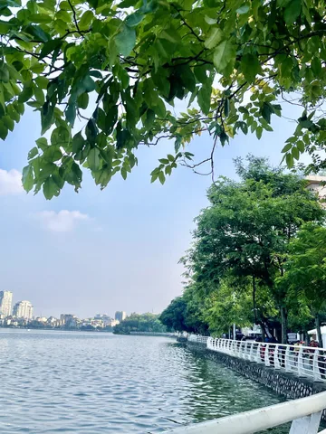 SIÊU PHẨM TÂY HỒ – 7 TẦNG THANG MÁY – GARA Ô TÔ – MẶT NGÕ-  LÔ GÓC – NỘI THẤT ĐẲNG CẤP.