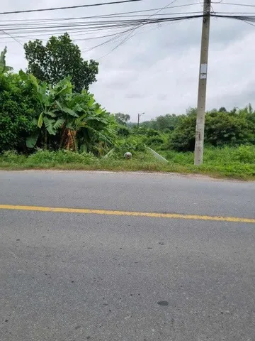 Đất rẻ Củ Chi – MT Nguyễn Văn Khạ, Tân An Hội, 5x25m giá 1,85 tỷ