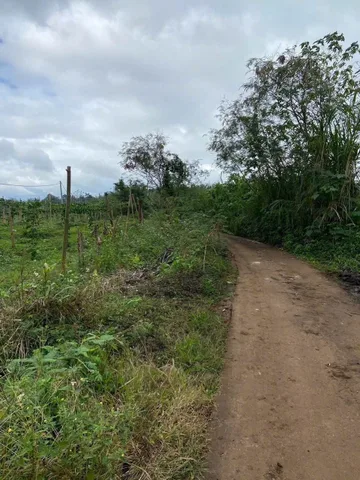 1000mv /300 Triệu  CÁCH ql 29 (1,5km)