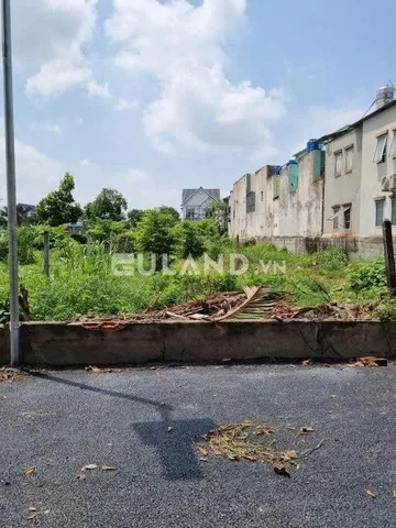 Đất rẻ Củ Chi – Tân Thạnh Đông, 2/ Nguyễn Kim Cương, 6x30m full thổ giá 1,6 tỷ