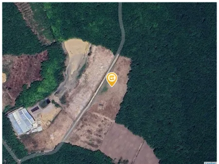 0931.783.209. Bán đất 250m² có sẵn 100m² thổ cư ngang 5m giá 330 triệu tại Xã Tân Quan