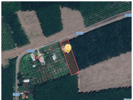 Bán đất 3655.6m² có sẵn 100m² thổ cư ngang 30m tại Xã An Long