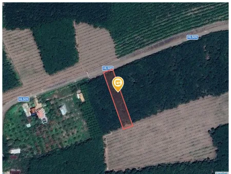 Bán đất 2424.8m² có sẵn 100m² thổ cư ngang 20m tại Xã An Long