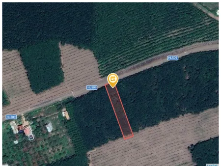 Bán đất 2431.5m² có sẵn 100m² thổ cư ngang 20m tại Xã An Long